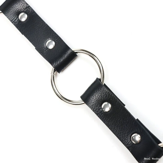 Anal Hooks EverydayUse Collar with Kinky 5853 Anal and Hook Leash 0926